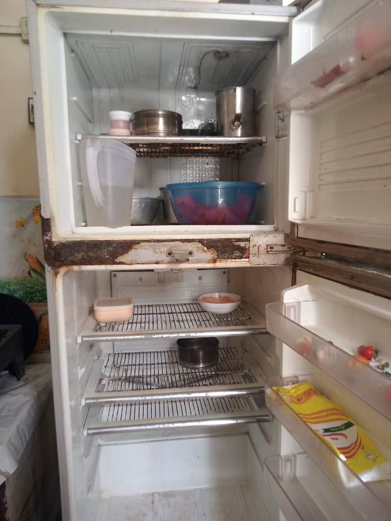 fridge 6