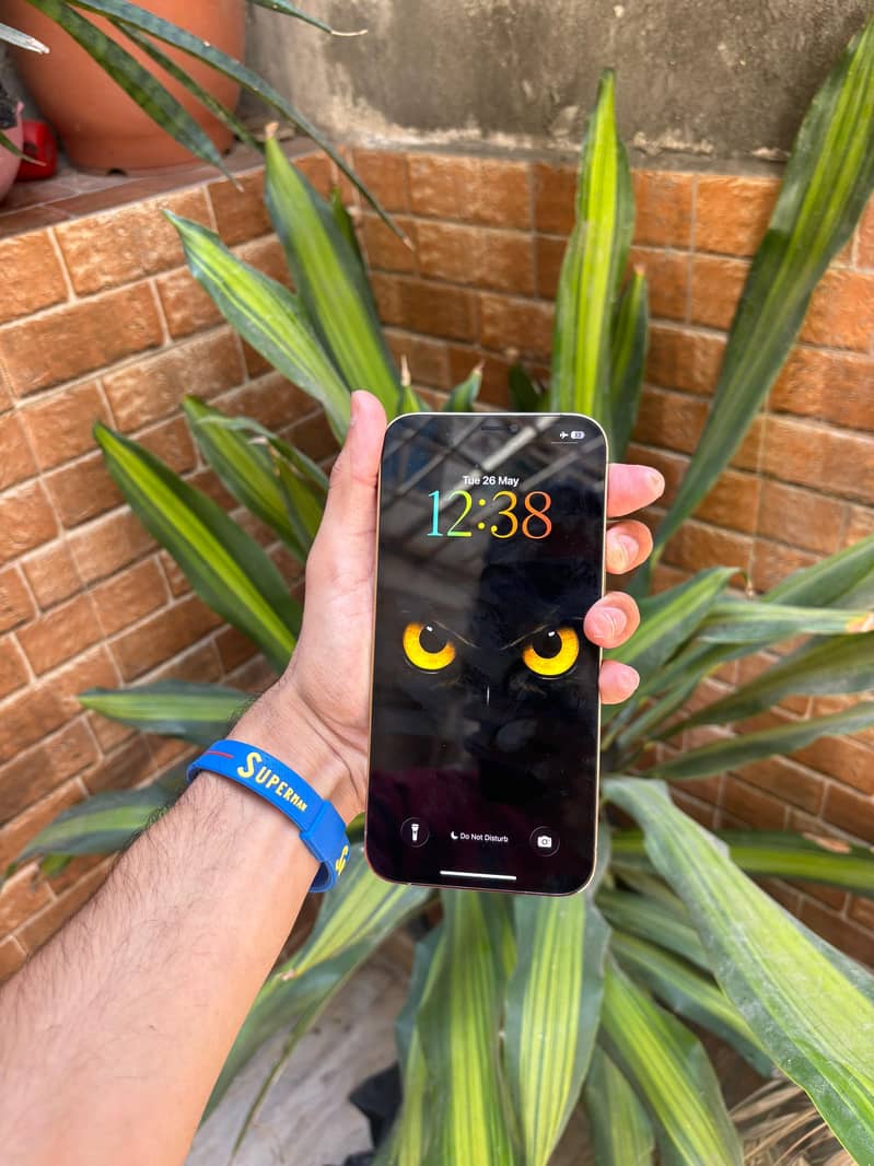 Iphone 12 Pro Max 1