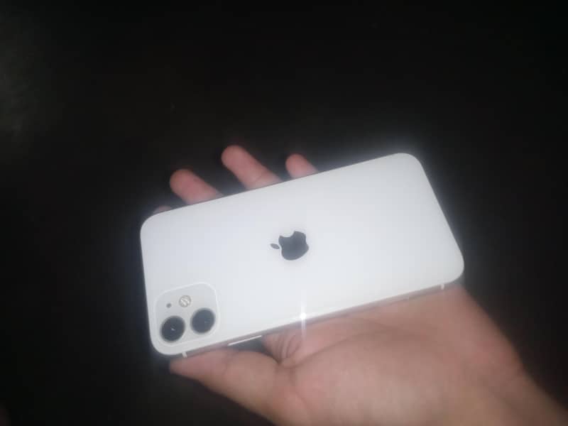 Apple iPhone 11 0