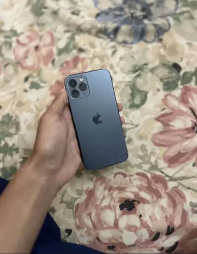 Apple iPhone 12 Pro non pta 256gb