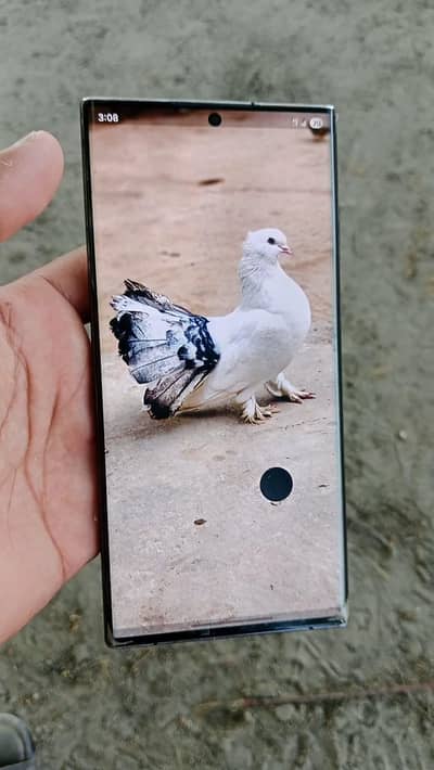 S22u fresh just dot iun screen