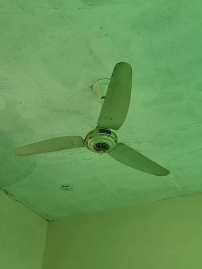 Celling fans 3 avaialable