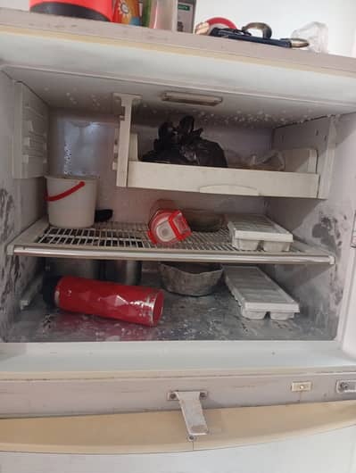 A jambo size fridge Dawlance
