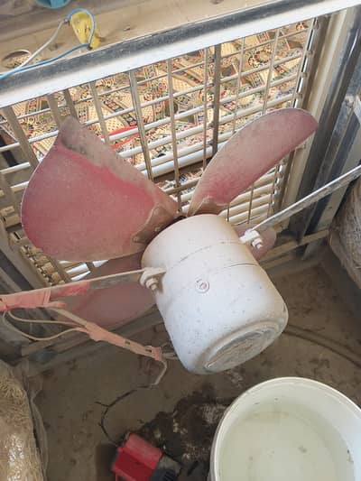 Cooler motor  with fan