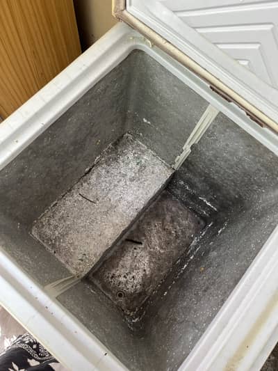 Freezer