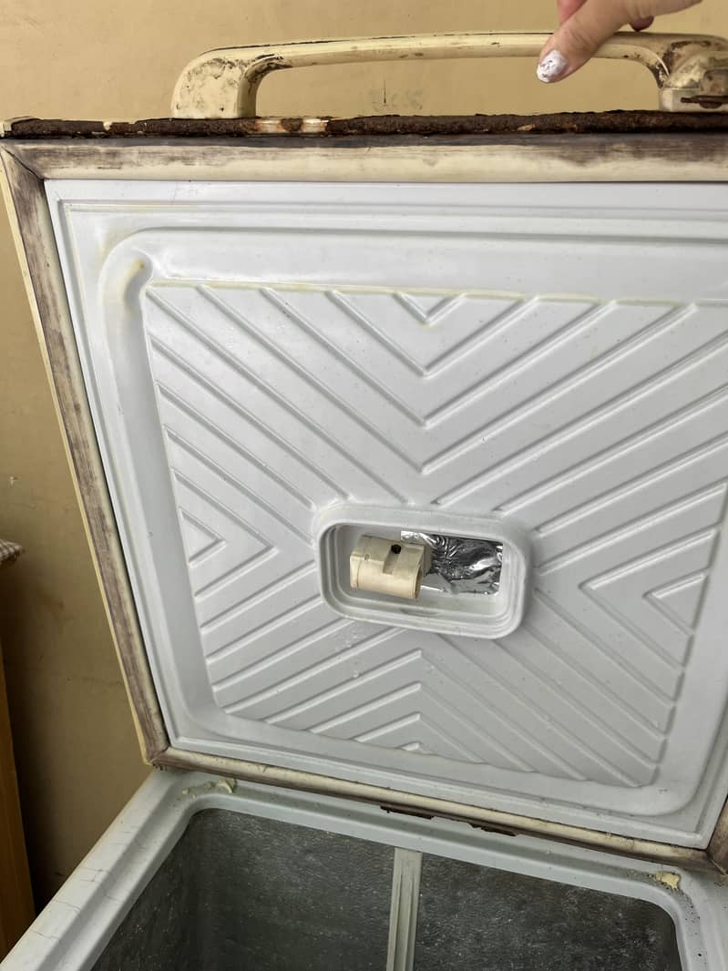 Freezer 1