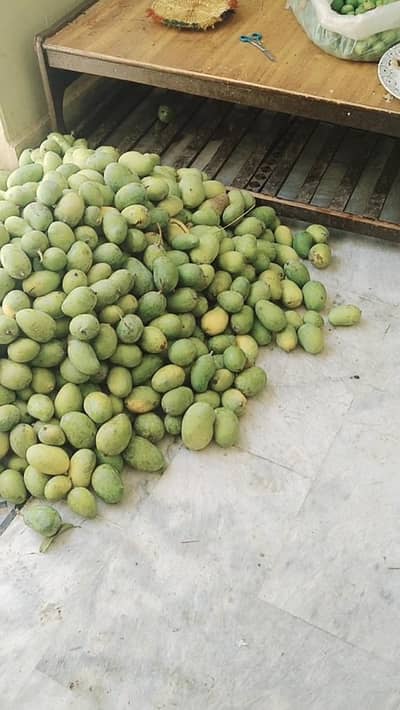 ambri desi mango