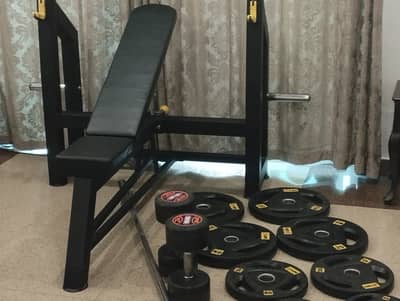 Home Gym Equipment: BenchPress, Weight Plates, Barbell, Dumbbells