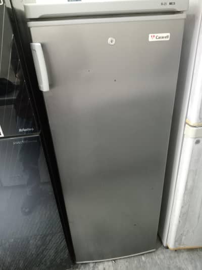 Carewell  Vertical freezer (working condition)
