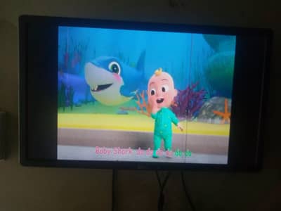 Dell 24 inch lcd tv
