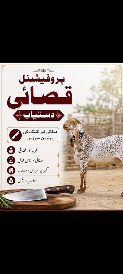 Professional Qasai Available Home service available y