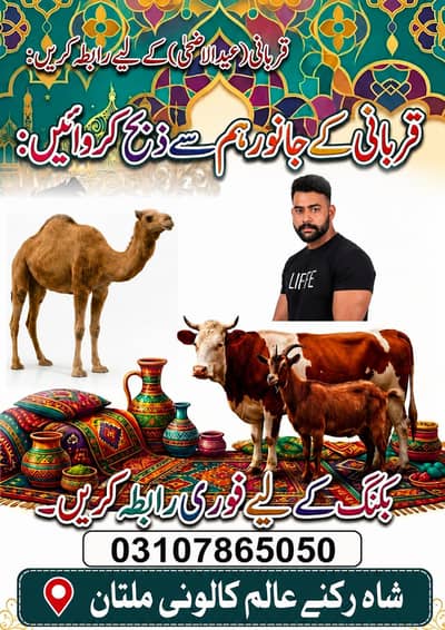 Qasai