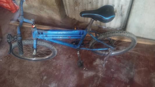 Japan frame cycle