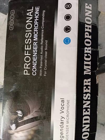 professional condensor micro phone