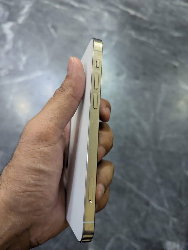 Apple iPhone 12 Pro 2