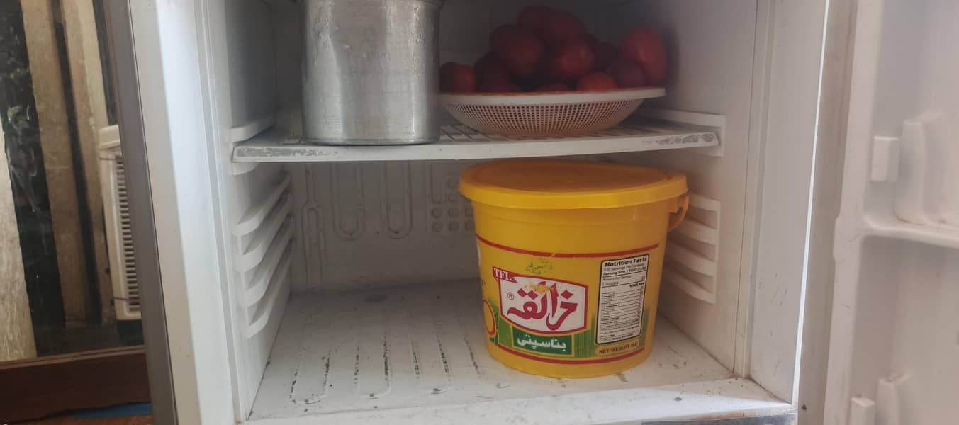 pel refrigerator 1