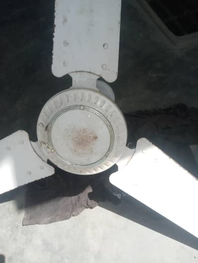 DC FAN (SOLAR AND BATTERY ONLY)