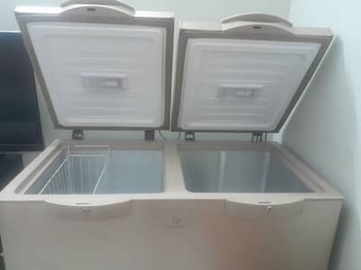fridge and freezer