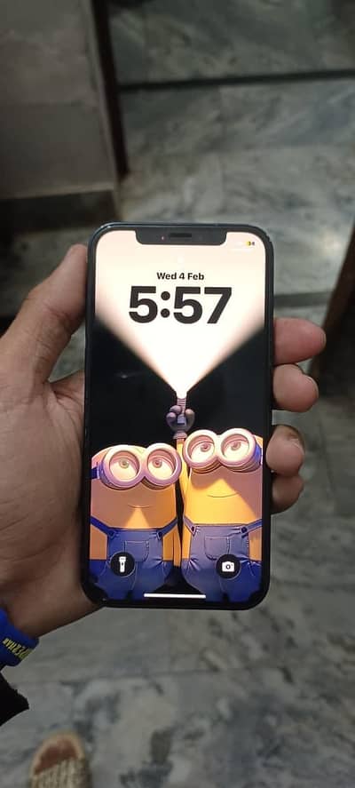 iPhone 12 jv