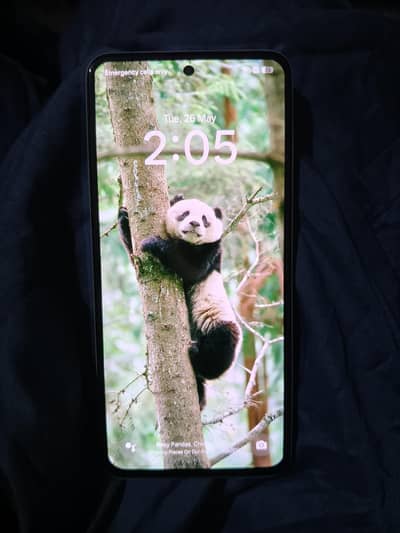 Realme 12 Plus