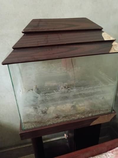 aqurium 2×1 just wash
