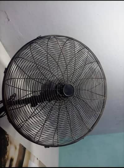 bilkul ok ha
