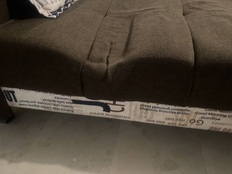 sofa cum bed 1
