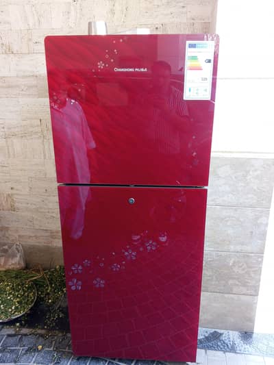 changhong ruba Refrigerator for seal