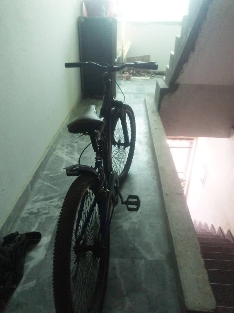 bicycle 2