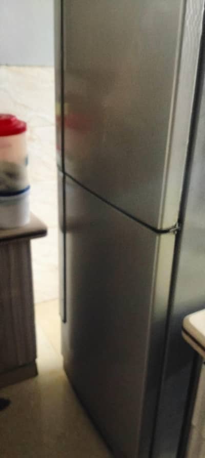 haeir jambo refrigerator