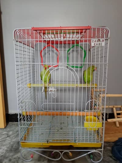 Green Parrot  Cage Only