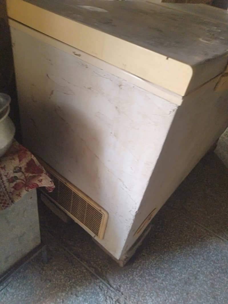 freezer 4