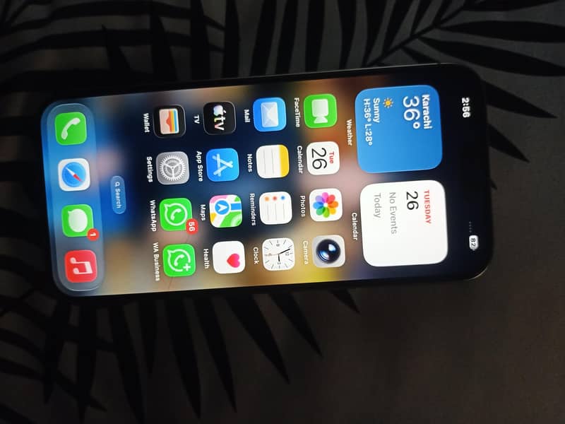 Apple iPhone 15 Pro Max 2