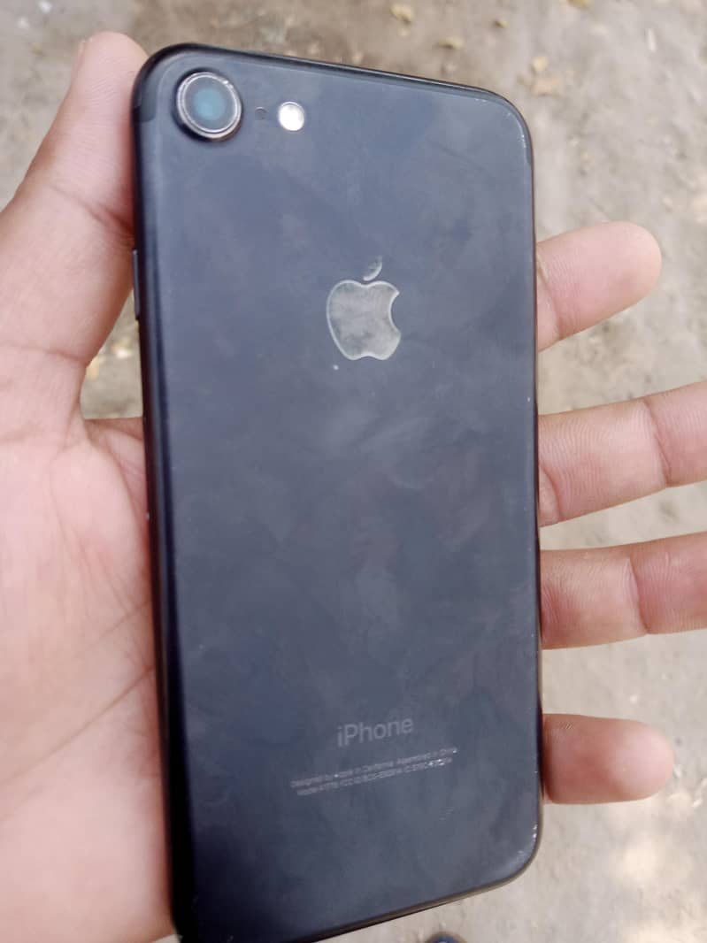 shani 5