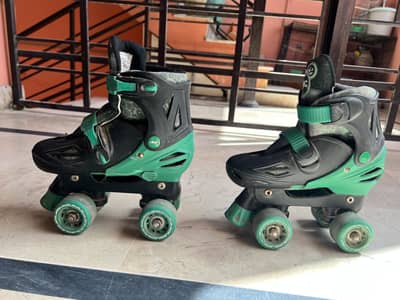 Skate shoes