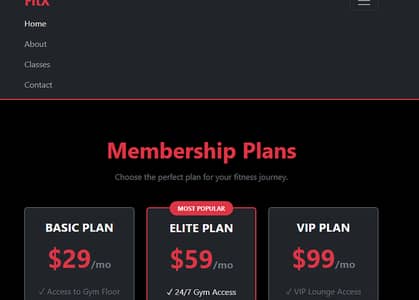 Premium Gym & Fitness HTML/CSS Website For Sale