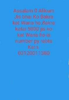 kasai available Bakra katai