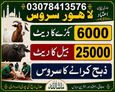 Lahore service zeba