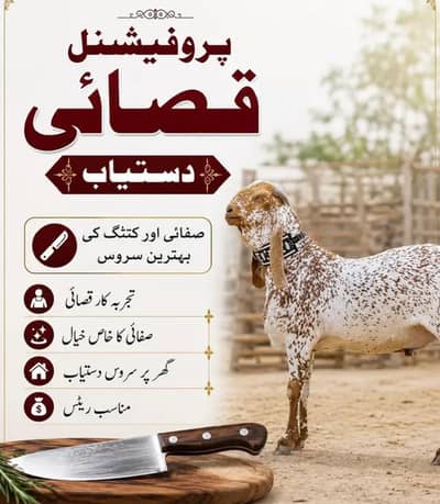 professional Qasai 03234516316