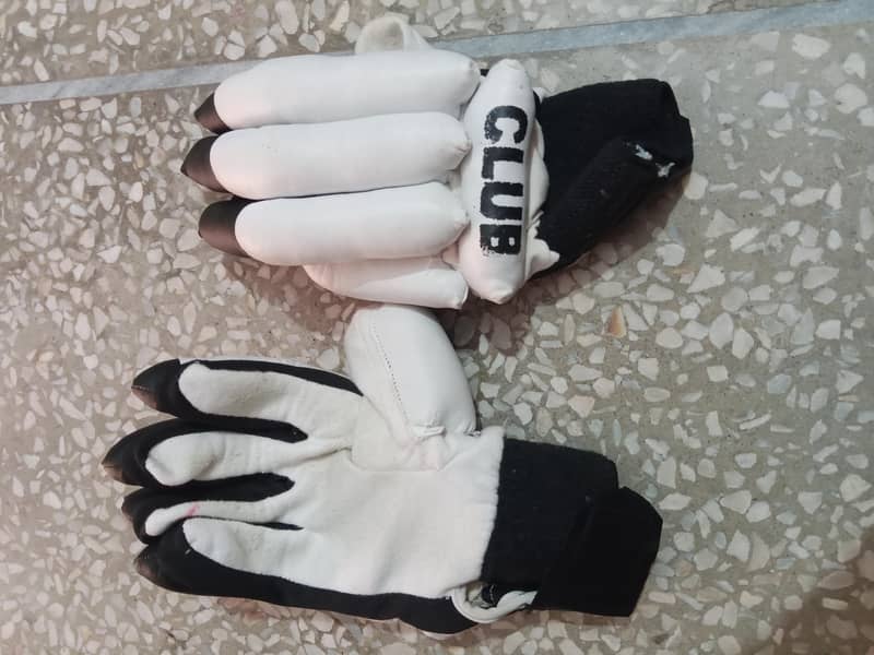 Cricket Kit 12