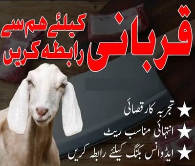 booking ka lia rabta kara. Professional Butcher Services in khi