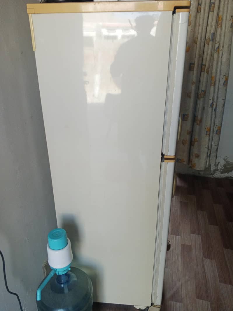 fridge 2