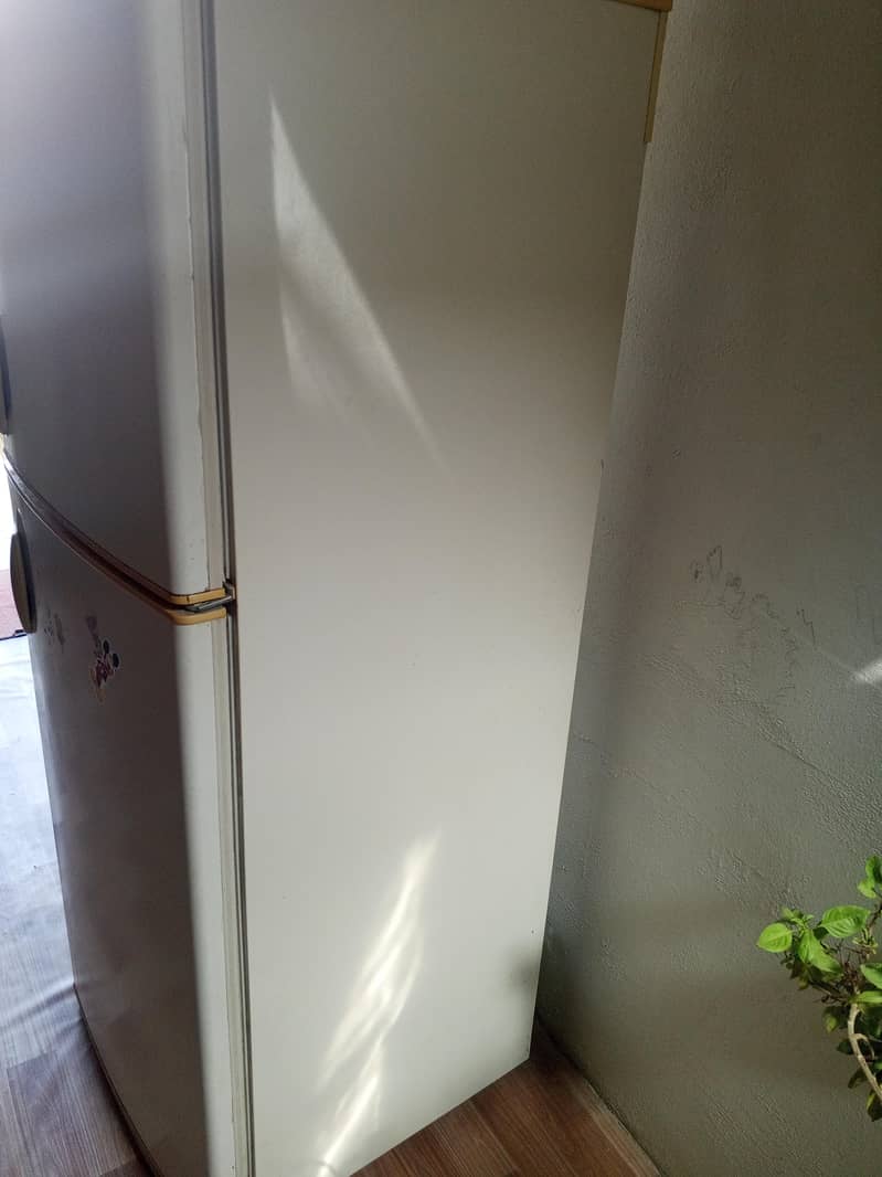 fridge 3