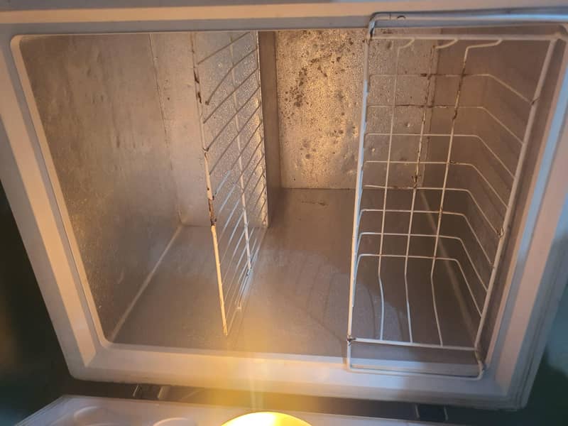 Freezer 1