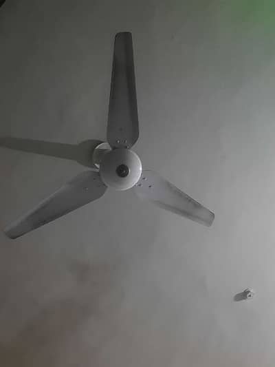 full size millet fans / pak fans available