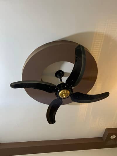 Sonex Designer Fan for only use 3 year Warranty remaining