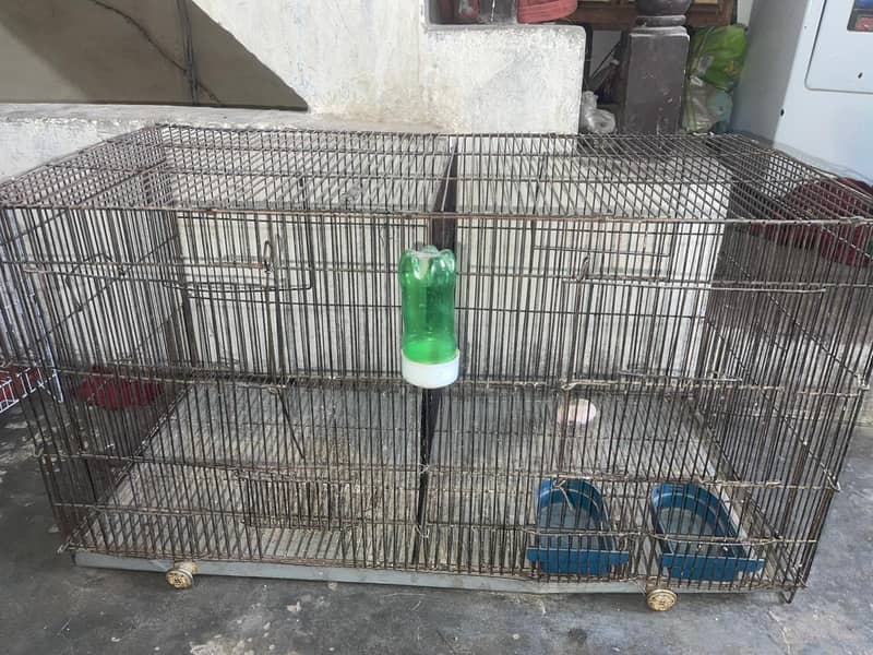 panjary 1