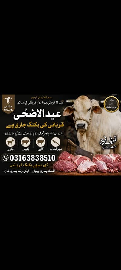 Expert Qasai Team for Bakra & Cow | Home Service 03163838510