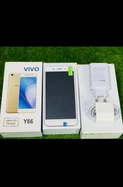 Vivo Y66