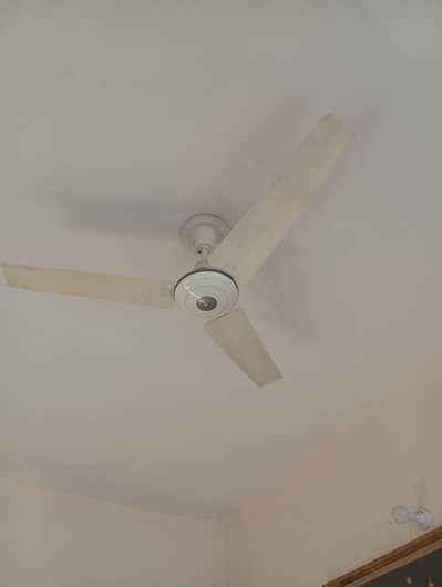 Celling fan 56" 10/10
